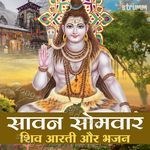 Sawan Somvar - Shiv Aarti Aur Bhajan - Anup Jalota Song Download